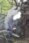 100_2600.jpg (151kb)