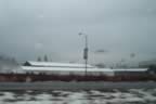 100_1100.jpg (51kb)